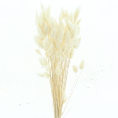 Droogbl Bewerkt H% 60cm 60gram