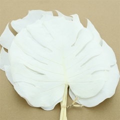 Droogbl Bewerkt H% 50cm