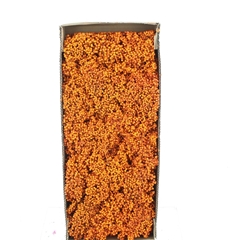 Schinus M Dec Bes Bs 30cm 200gram