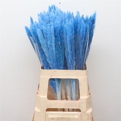 Droogbl Bewerkt H% 65cm
