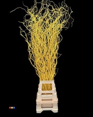 Salix 130cm Yellow