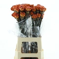 Di St Ov Klb 21% 70cm 23