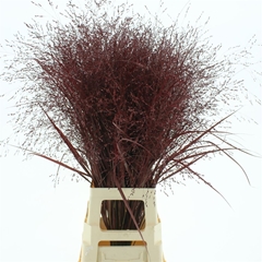 Siergr Ov Klb H% 95cm