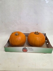 Cuc Maxima Halloween