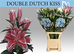 Li Or Du Dd Kiss 80cm 55+
