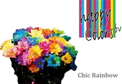 Chr T Colortreated 65cm