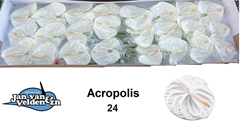 Anth A Acropolis 55cm 11cm Ø