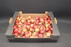 F Appel Malus Rood X8