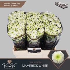 Chr San Maverick 55cm 140g