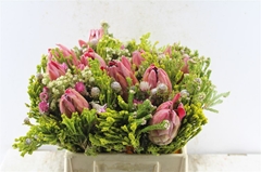 Protea Per Bunch 3 Punt 40cm 300gram
