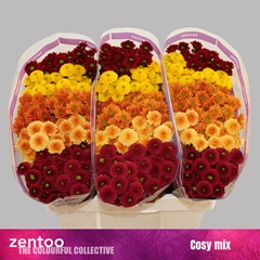 Chr San Mixed 55cm 120g