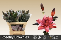 Li Or Du Roselly Brownies