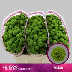 Chr S Aaa Peptalk 55cm 110g
