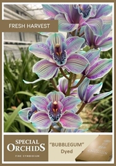 Cymb Tak Ov Srt 80cm 13+