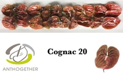 Anth A Cognac 9cm Ø