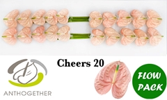 Anth A Cheers 9cm Ø