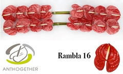 Anth A Rambla 11cm Ø