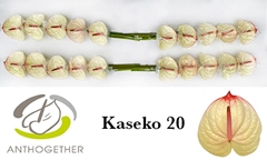 Anth A Kaseko 9cm Ø