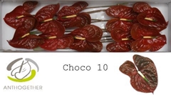 Anth A Choco 15cm Ø
