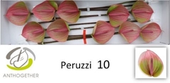 Anth A Peruzzi 15cm Ø