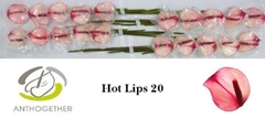 Anth Pr Ama Hot Lips 9cm Ø