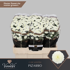 Chr San Pizarro 55cm 110g