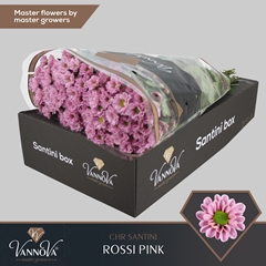 Chr San Rossi Pink 55cm 110g