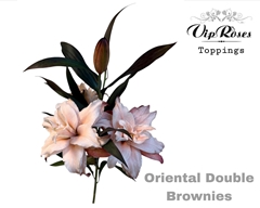 Li Or Du Double Brownies