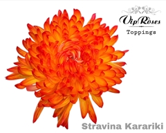 Chr G Stravina Kakariki