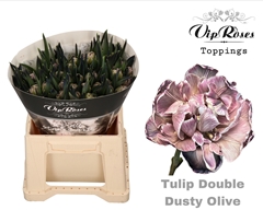 Tu Du Double Dusty Olive