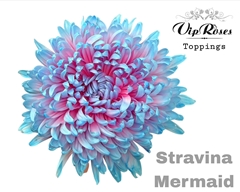 Chr G Stravina Mermaid