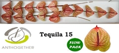 Anth A Tequila 7cm Ø