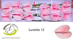 Anth A Lunette 13cm Ø