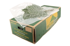 Leatherleaf 55cm
