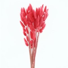 Droogbl Bewerkt H% 60cm 60gram
