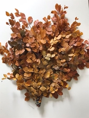 Decorgr Klb Pb 21% 75cm 150gram