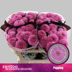 Chr G Popping 70cm 90gram