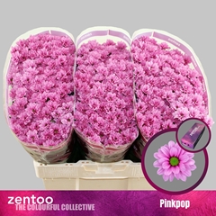 Chr S Aaa Pinkpop 55cm 130g