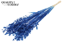 Droogbl Bewerkt H% 70cm 150gram