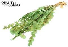 Droogbl Bewerkt H% 65cm 150gram