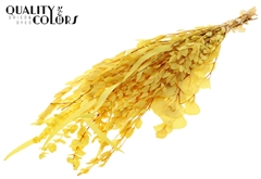 Droogbl Bewerkt H% 65cm 150gram