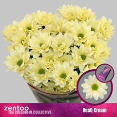 Chr T Resq Cream 70cm 95gram