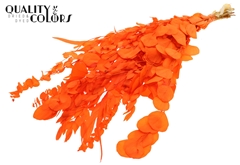 Droogbl Bewerkt H% 65cm 150gram