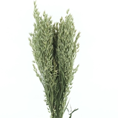 Dried Flowers 100 Gram 65cm 250gram