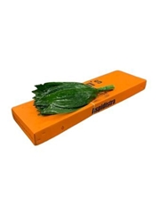 Aspidistra E Per Bunch 60cm