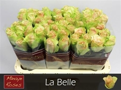 R Gr La Belle