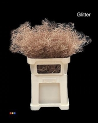 Limonium Copper + Glitter Bio