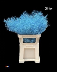 Limonium Light Blue + Glitter Bio