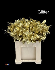 Ruscus Gold + Glit Bio