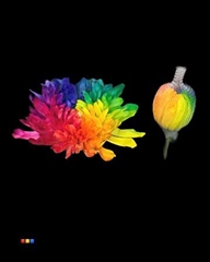 Chr G Stravina Rainbow